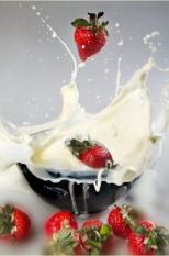 privé productfotografieworkshop webshops rotterdam