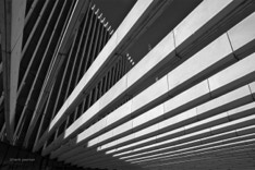 architectuurwandeling fotografie in rotterdam