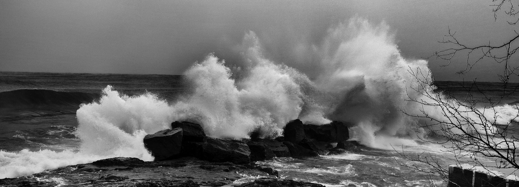 fotografie cursus workshops voor beginners in rottterdam